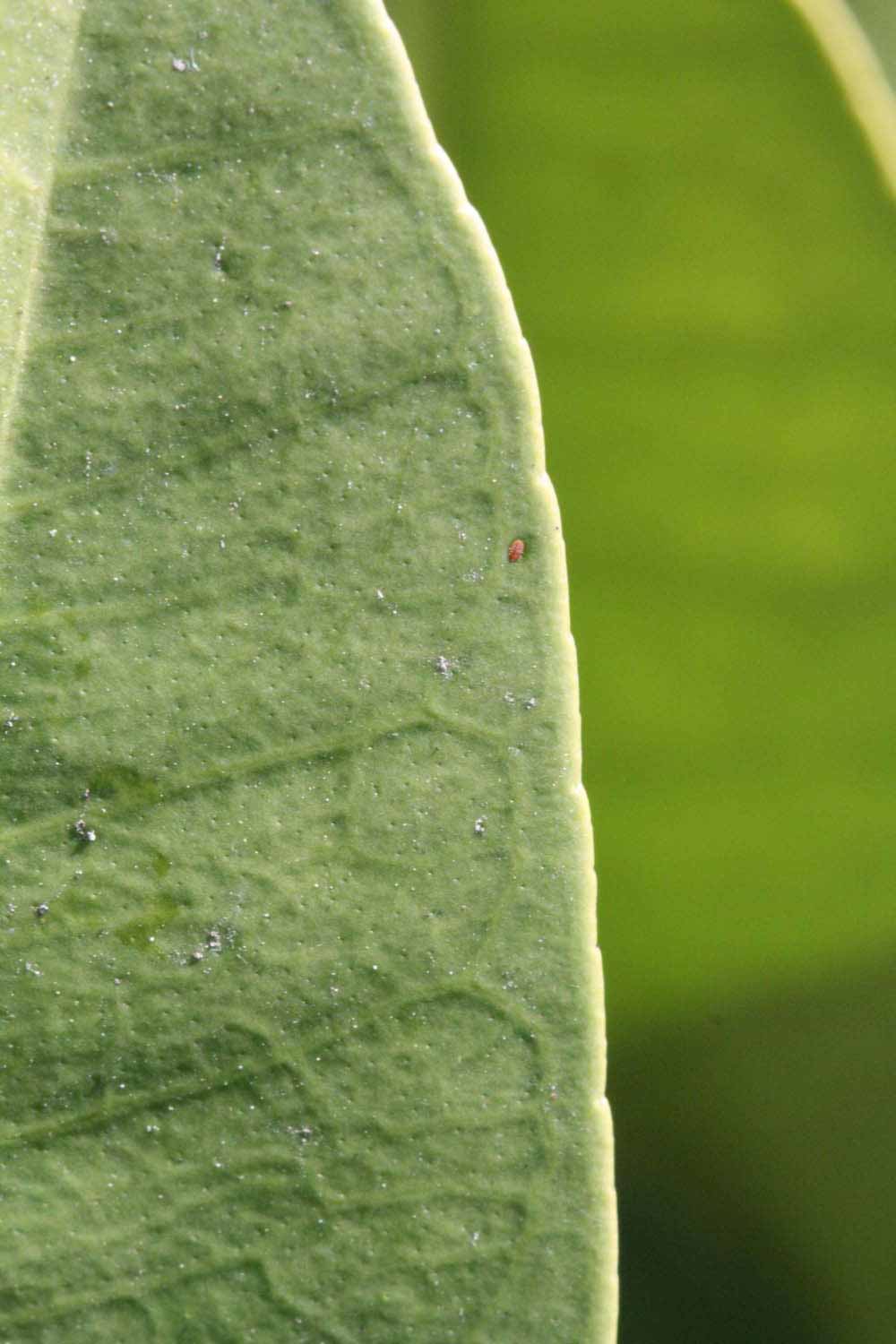              Margin (Riverside, CA)       